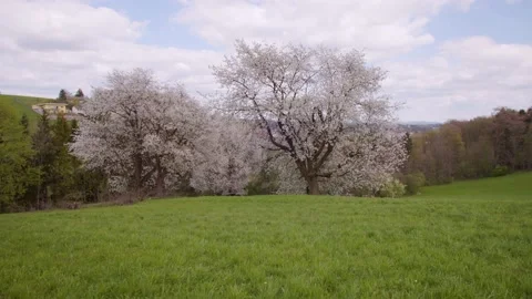 Beautiful Austrian countryside in spring Stock Footage 230032959