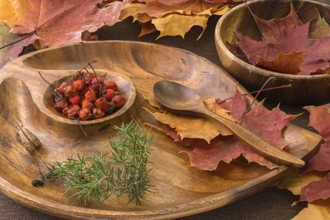 Beautiful autumn composition of multi-colored carved maple leaves, red Rowan  Foto stock