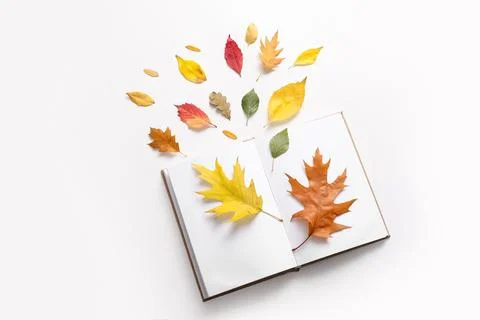 Beautiful autumn composition with opened notebook and leaves on white backgro Stock Photos