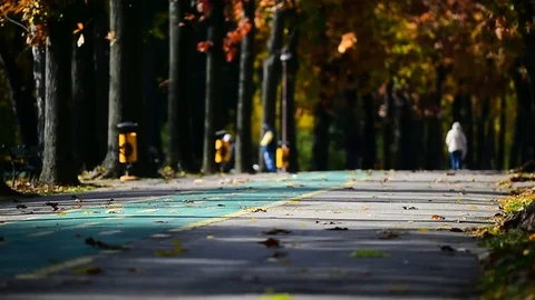 Beautiful autumn day in a park with falling leaves Vídeo Stock 69123799