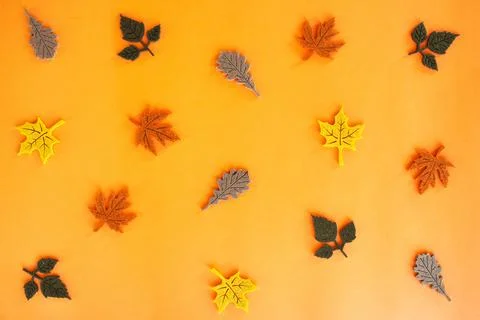 Beautiful autumn flat lay pattern of felt decoration leaves of oak and maple Stock Photos