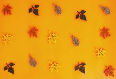 Beautiful autumn flat lay pattern of felt decoration leaves of oak and maple Stock Photos
