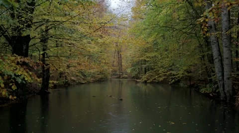 BEAUTIFUL AUTUMN Stock Footage 43359739