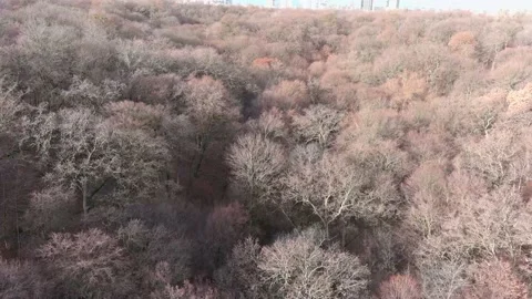 Beautiful autumn Stock Footage 167563722