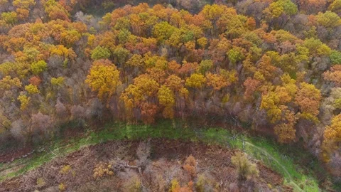 Beautiful autumn Stock Footage 169821133