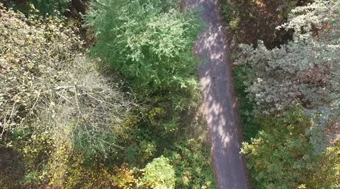 Beautiful autumn forest. Camera down. Takeoff. Aerial view 스톡 동영상 68353016