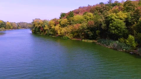 Beautiful autumn in the forest Stock Footage 140000344