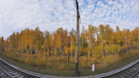 Beautiful autumn forest, view from train moving on railway, Transsib Stock Footage 68105319