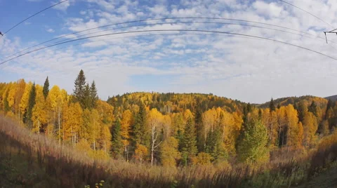 Beautiful autumn forest, view from train moving on railway, Transsib Stock Footage 68105507