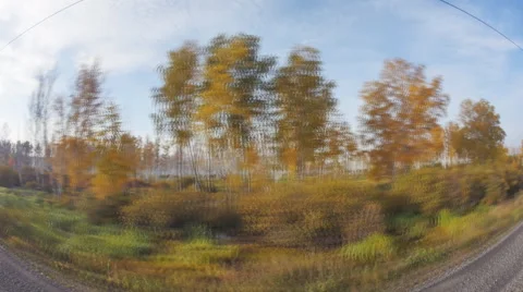 Beautiful autumn forest, view from train moving on railway, Transsib Video stock 68105660