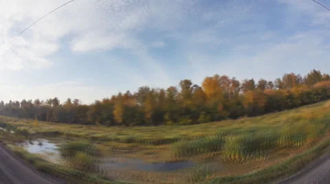 Beautiful autumn forest, view from train moving on railway, Transsib Stock Footage 68105876