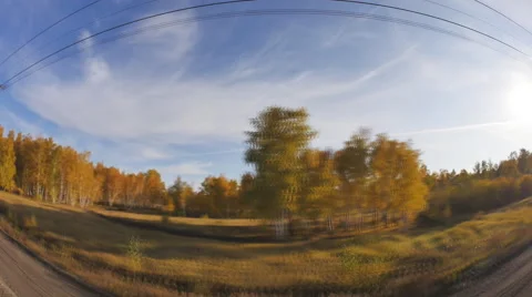 Beautiful autumn forest, view from train moving on railway, Transsib Stock Footage 68105940