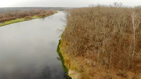 Beautiful autumn landscape with bare trees leaning over the water. The concept Vídeo Stock 127160220