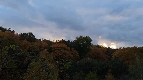 Beautiful autumn landscape Stock Footage 319039634