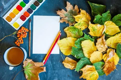 Beautiful autumn leaves, brushes, paint and sheet on a dark background with s Stock Photos
