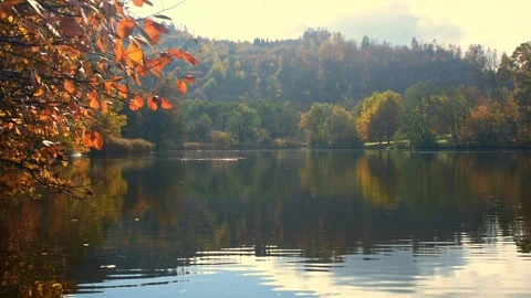 Graz Stock Footage ~ Royalty Free Stock Videos | Pond5