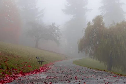 Beautiful autumn park scene Stock Photos