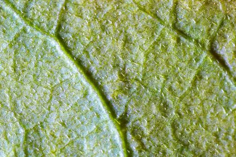 Beautiful autumn patterns 스톡 사진