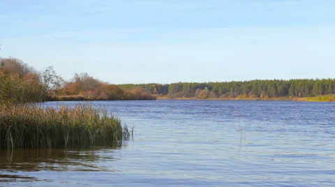 Beautiful autumn river background. Stock Footage 49415073