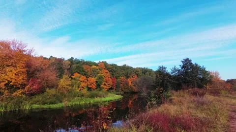 Beautiful autumn river Stock Footage 99399342