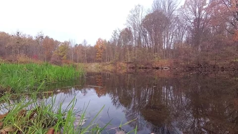 Beautiful autumn river Stock-Footage 99399720