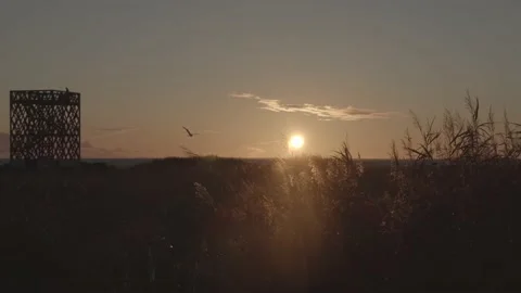 Beautiful autumn sunset Video stock 219859133