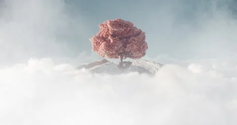 Beautiful autumn tree above the clouds. Fantasy tree with falling leaves Stock Footage 152148881