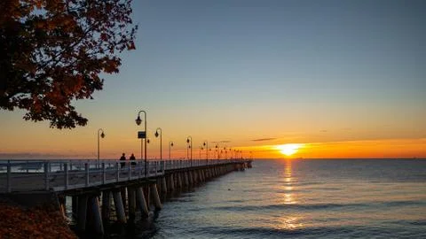 Beautiful autumn tree branches and a pier during sunrise at the sea. Stock Photos