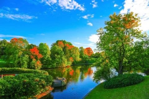 Beautiful autumn trees Stock Photos