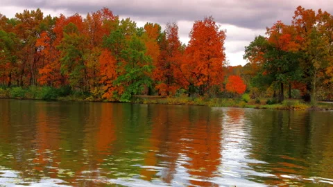 Beautiful Autumn Trees Reflections On The River. Stock Footage 166195007