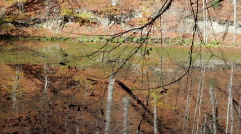 Beautiful Autumn View of Lagoon Stock Footage 34749042