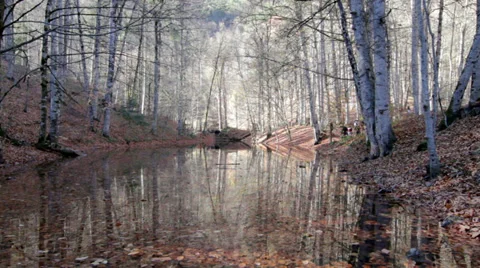 Beautiful Autumn View of Lagoon Stock Footage 34757952