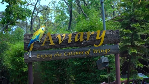 Beautiful Aviary View at the Zoo Stock Footage 313565695