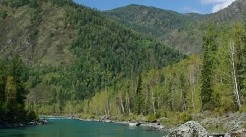 Beautiful azure river is flowing in Altay mountains, tilting video. Stock Footage