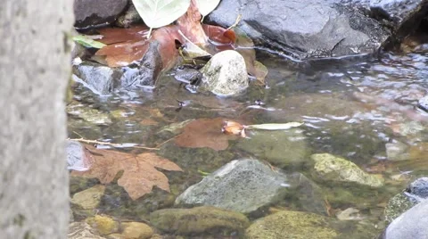 Beautiful babbling brook Stockbeeldmateriaal 43967844