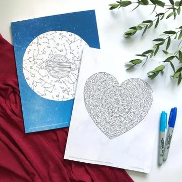 Beautiful Back to School Notebooks Flat Lay Photo Stock Photos