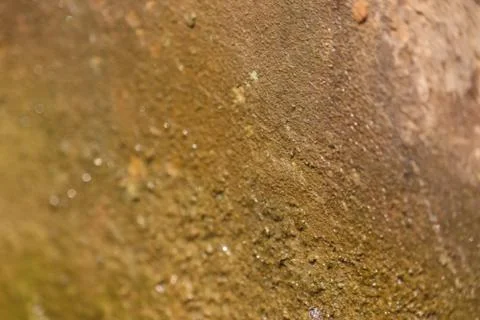 Beautiful background and texture Stock Photos