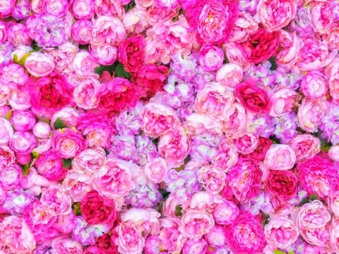 Beautiful background of artificial pink peonies. Wedding festive decoration Stock-Fotos