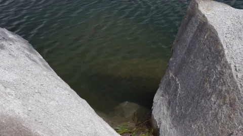 Beautiful background of calm river surface Stock Footage 125857618