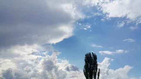 Beautiful background of clouds and trees Stock Photos