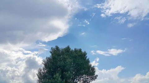 Beautiful background of clouds and trees Stock Photos