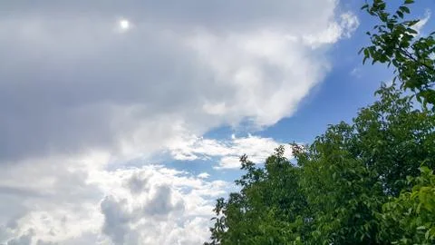 Beautiful background of clouds and trees Stock Photos