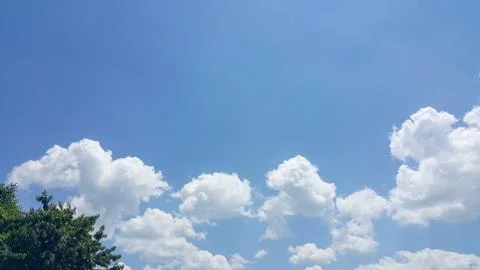Beautiful background of clouds and trees Stock Photos