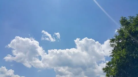 Beautiful background of clouds and trees Stock Photos