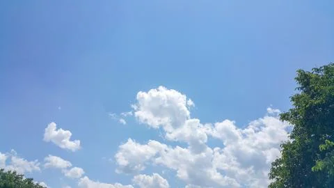 Beautiful background of clouds and trees Stock Photos