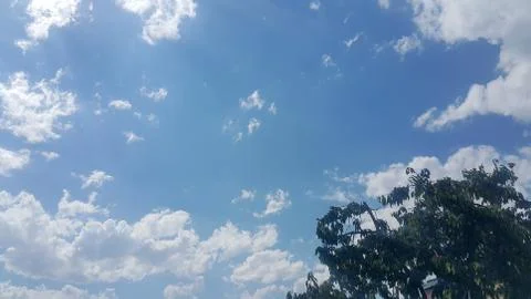 Beautiful background of clouds and trees Stock Photos