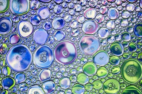 Beautiful background of colored  bubbles. Stock Photos