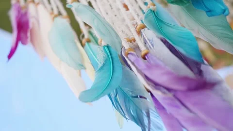 Beautiful background feathers in the wind Stock Footage 219796200