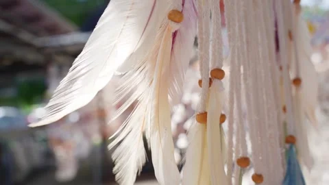 Beautiful background feathers in the wind Stock Footage 220170486