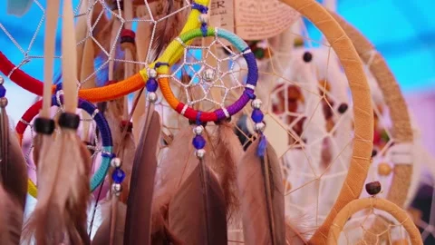 Beautiful background feathers in the wind Video stock 220170504